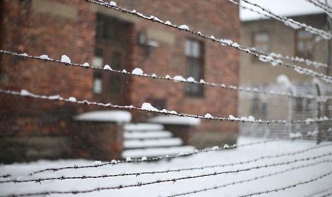 Odio online e apologia della Shoah, un torinese nell'inchiesta: sono tutti giovanissimi