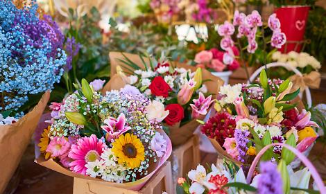 A Cambiano torna la Festa di Primavera con la celebrazione dell&rsquo;asparago tra sapori, musica e tradizione