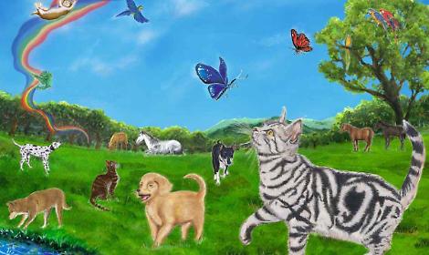 Rivalta apre il &ldquo;Ponte dell&rsquo;Arcobaleno&rdquo;: il luogo dove i ricordi degli animali non svaniscono