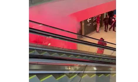 Cortei Pro Pal: guerriglia in stazione a Milano - IL VIDEO