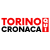 Web Redazione