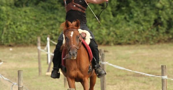 Horse Arc Challenge: Tradition & Competition | Turin Chronicle