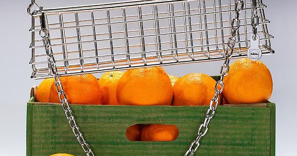 Lidl’s Trolley Bag: Win the Exclusive Designer Supermarket Accessory