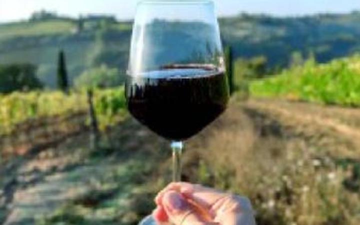 Vino