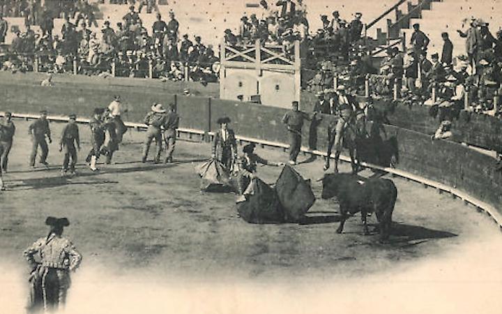 Ventimila torinesi assistonoa una speciale corrida dei tori