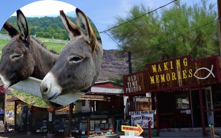 Oatman, la ghost town più viva d'America
