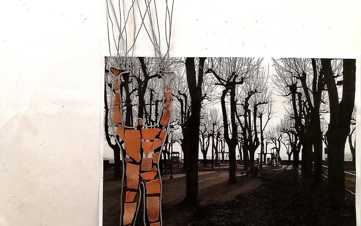 L’uomo-albero di Bruno Meloni: un dialogo tra arte e natura nel cuore del Roero