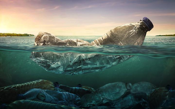 Oggi si festeggia la Giornata Mondiale per l'Ambiente, scopriamo cos'è e come si festeggia quest'anno