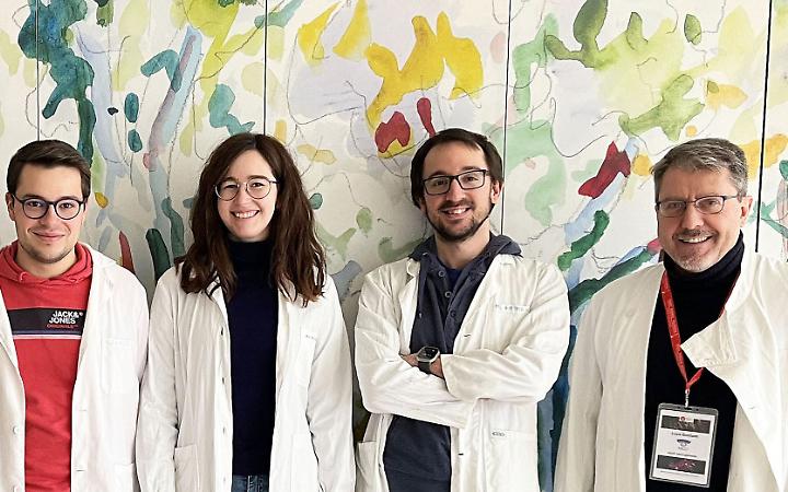 Neuroni che si riattivano da adulti: la scoperta dell'Università di Torino