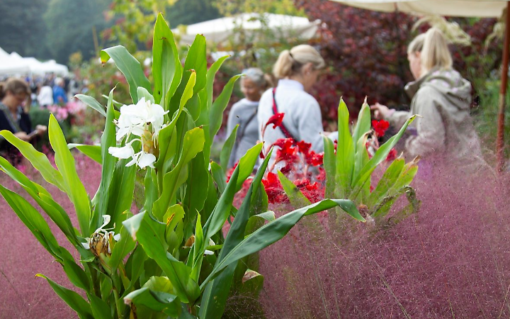 Tre giorni per il giardino