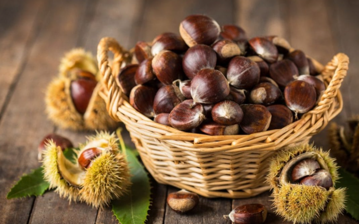 Castagnate, vero profumo d’autunno