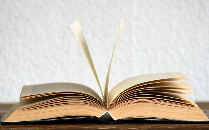 Amico Libro accende la cultura a Torino: l&rsquo;evento con le &ldquo;Barolo Girls&rdquo; e un invito a diventare volontari