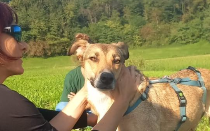 Salvata dalla strada: la storia di Venere