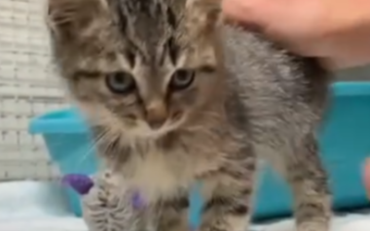 Come si fa a resistere a questo musetto?