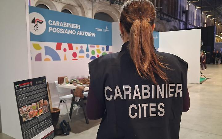 Reati ambientali in crescita in Piemonte: oltre 50mila controlli dei carabinieri forestali nel 2025