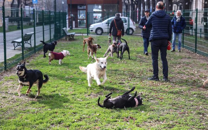 Inaugurata la nuova area cani. E&rsquo; la prima in centro (e sponsorizzata)