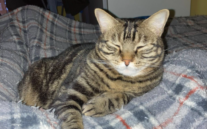 Non pu&ograve; pi&ugrave; restare in quella casa