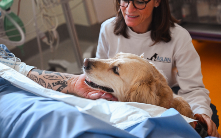 Eroi torinesi (pelosi): le "mascotte della felicit&agrave;" in corsia