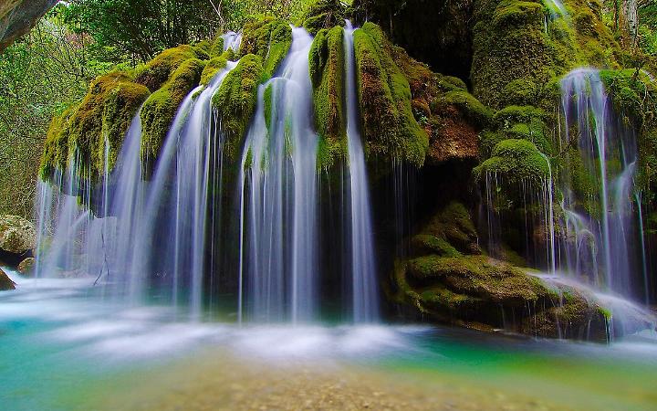 Leggenda a Borgiallo: questo bosco sembra uscito da un libro delle fiabe