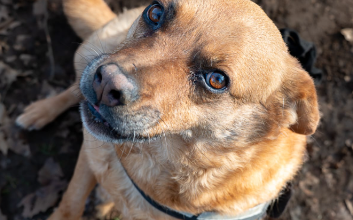 E' rimasta invisibile, non pu&ograve; passare la vita in box