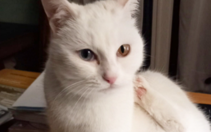 Ha gli occhi pi&ugrave; belli del Piemonte, impossibile non innamorarsi