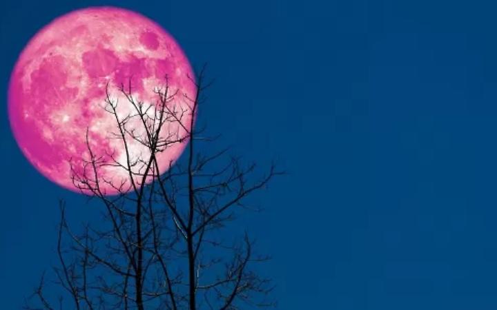 Arriva la luna rosa, il cielo saluta la primavera: ecco quando vederla