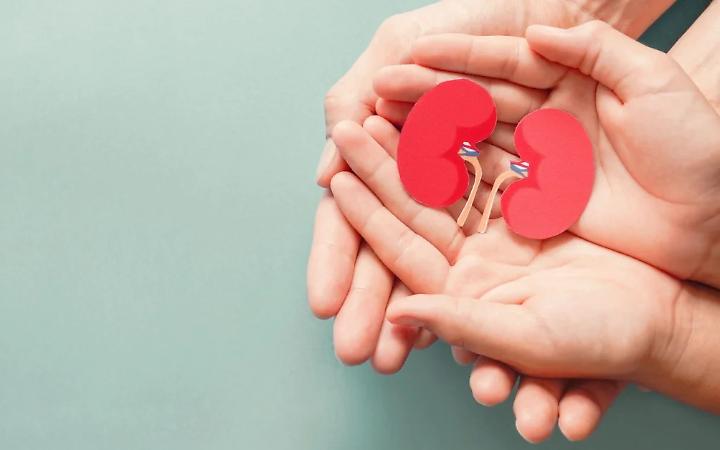 Il 9 marzo &egrave; la Giornata Mondiale del Rene, una malattia silenziosa che colpisce 850 milioni di persone
