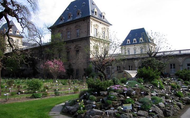 Torino, riapre l&rsquo;Orto Botanico del Valentino: piante e fiori da tutto il mondo