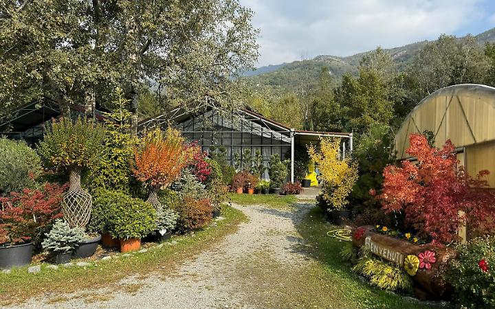 Valsusa in fiore: al Vivaio Floralpi di Condove la primavera bussa alla porta