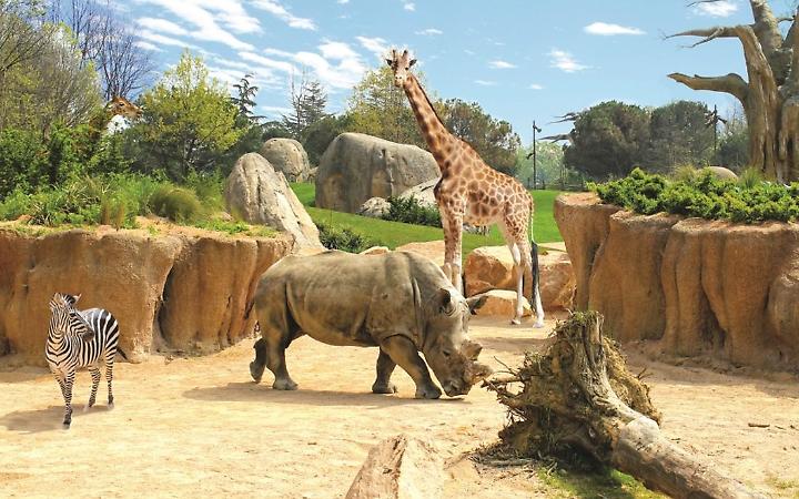 Zoom Torino cerca personale: ecco i posti disponibili e come candidarsi