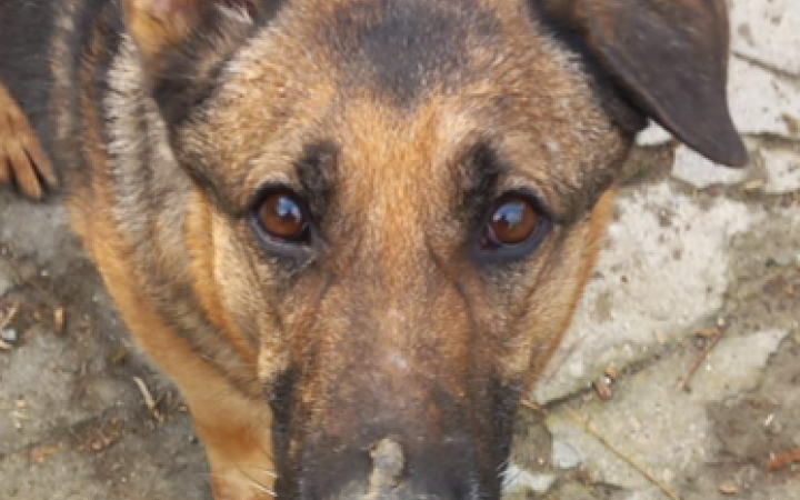 Un incidente le ha portato via la mamma. Ora &egrave; sola