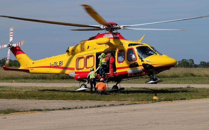 Colpito dalla pianta che stava tagliando