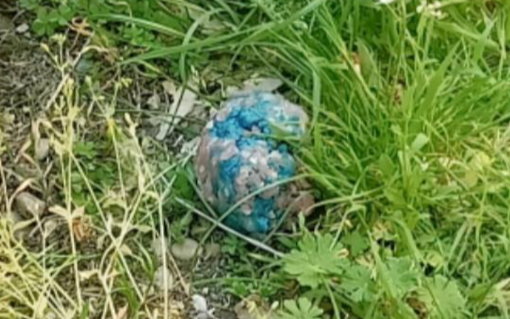 Esche killer nei parchi