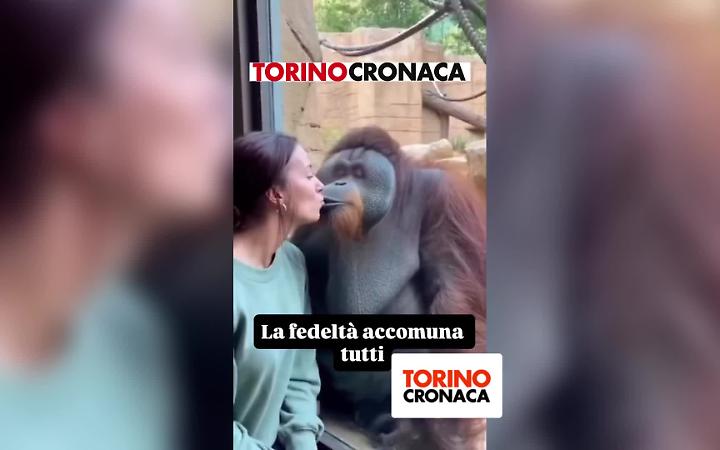 e chi l'ha detto che solo gli esseri umani sono gelosi?