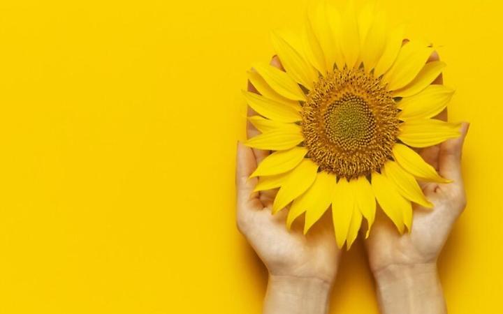 &ldquo;Endometriosi: servono pi&ugrave; consapevolezza, diagnosi precoci e formazione sanitaria. Siamo al fianco delle donne&rdquo;