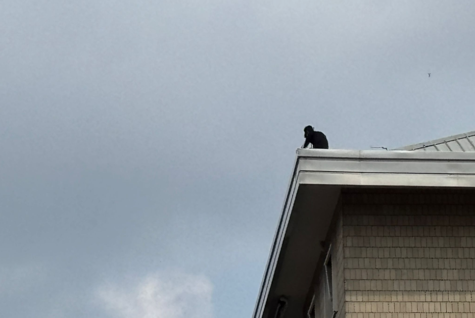 Santa Rita, minaccia di buttarsi dal palazzo: ad agosto era salito sul Filadelfia per suicidarsi