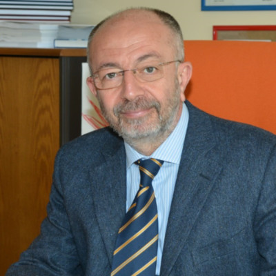 Professor Navarra