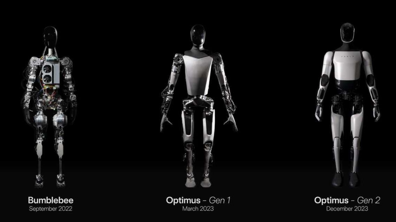 Optimus evolution