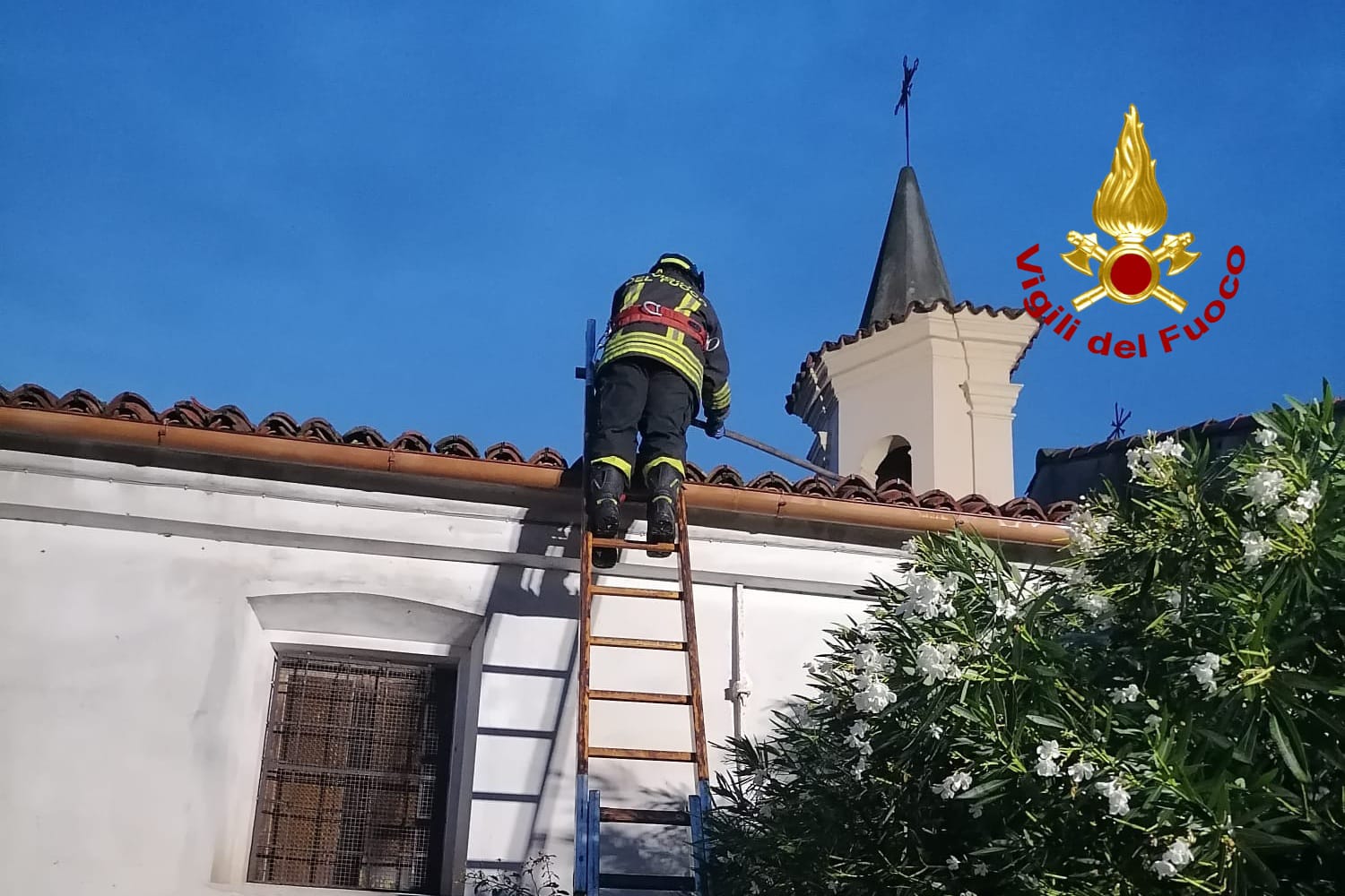 La caduta di un tronco ha causato il distacco parziale della copertura di un’abitazione, strappando tegole e porzioni di tetto