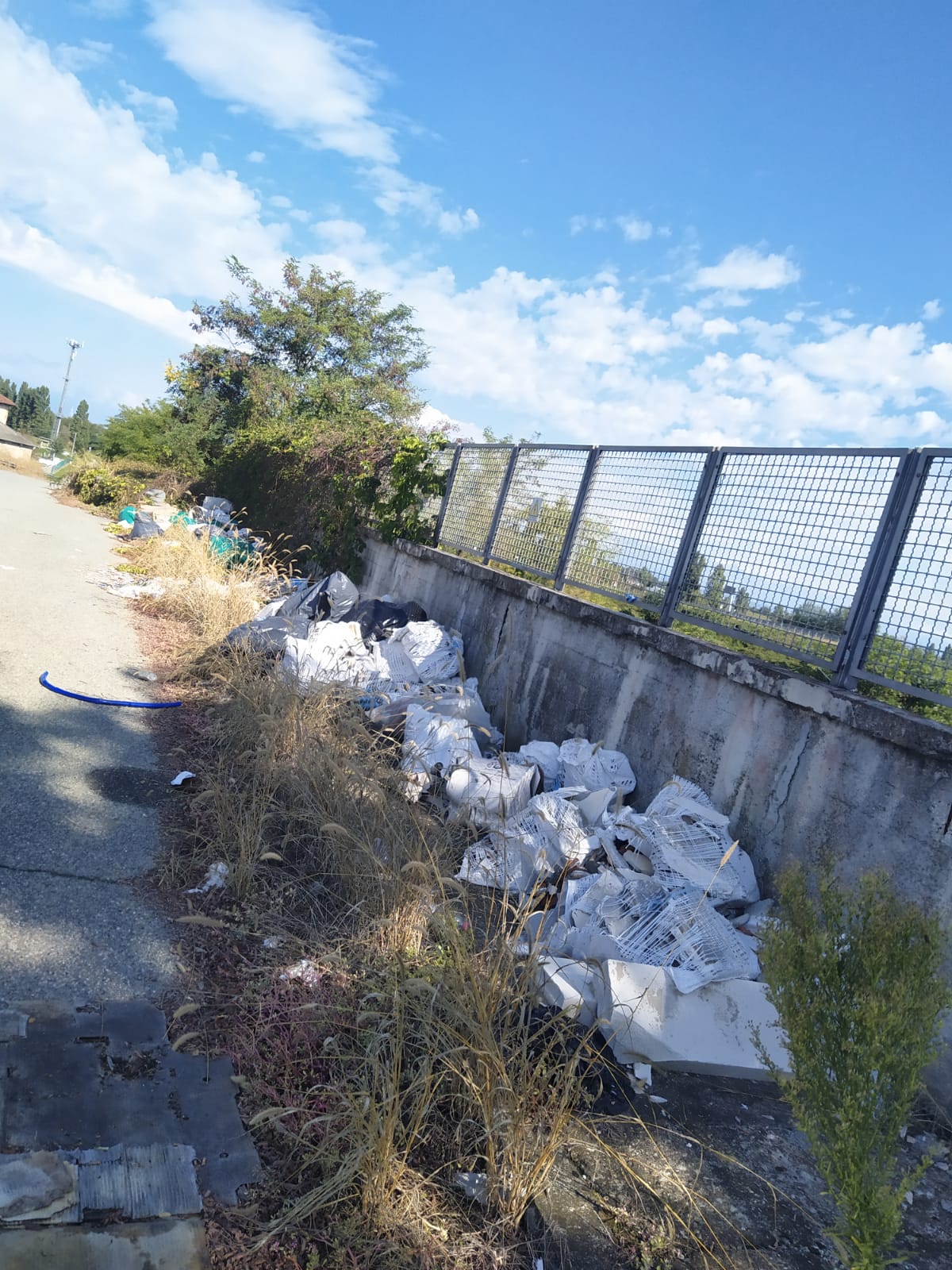 Cumuli di rifiuti abbandonati lungo le strade del Canavese continuano a rappresentare un problema diffuso