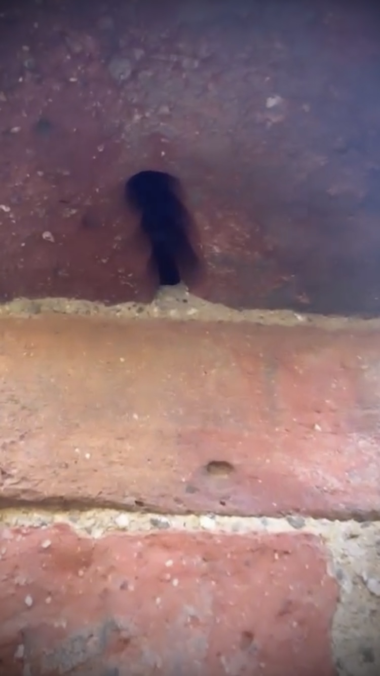 Su uno dei laterizi originari si trova una deformazione del mattone, non dovuta a usura né a danneggiamenti successivi