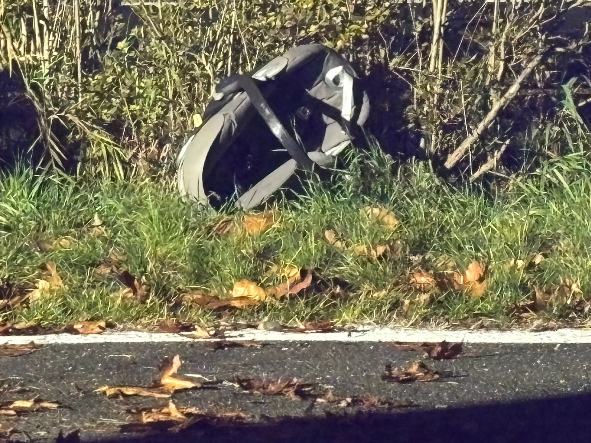 I sanitari del 118 hanno soccorso anche la madre della piccola, rimasta ferita